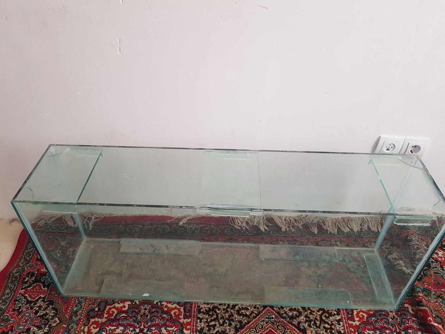 آکواریوم به همراه کمد|ماهی|کرمان, |دیوار