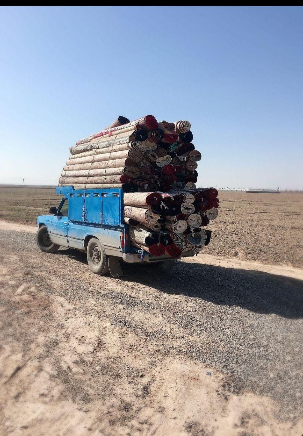 قالیشویی ومبل شویی تخصصی نظری (تمام نقاط مشهد)|خدمات نظافت|مشهد, شهید هاشمی نژاد|دیوار