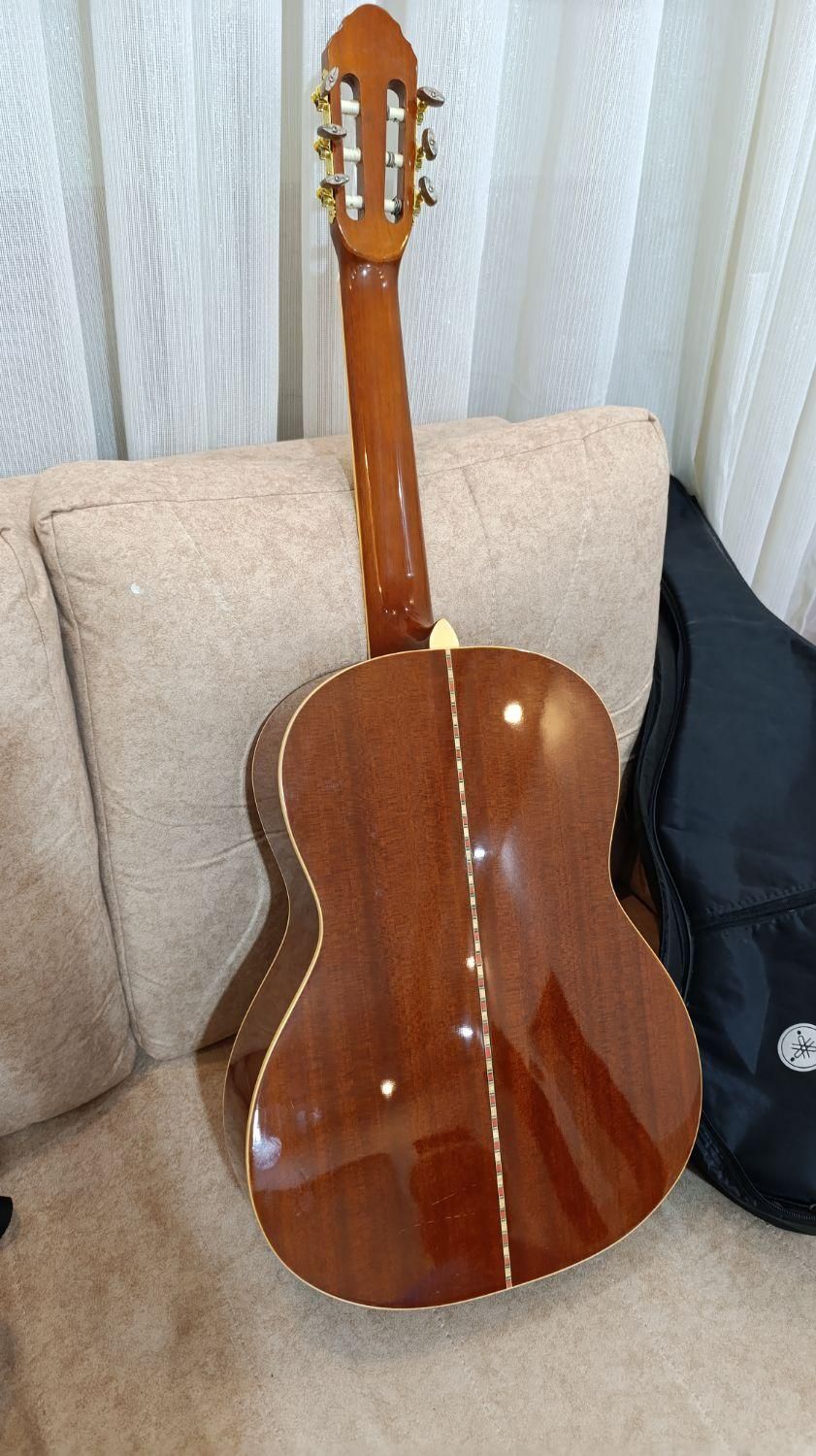 گیتار|گیتار، بیس، امپلیفایر|شاهرود, |دیوار