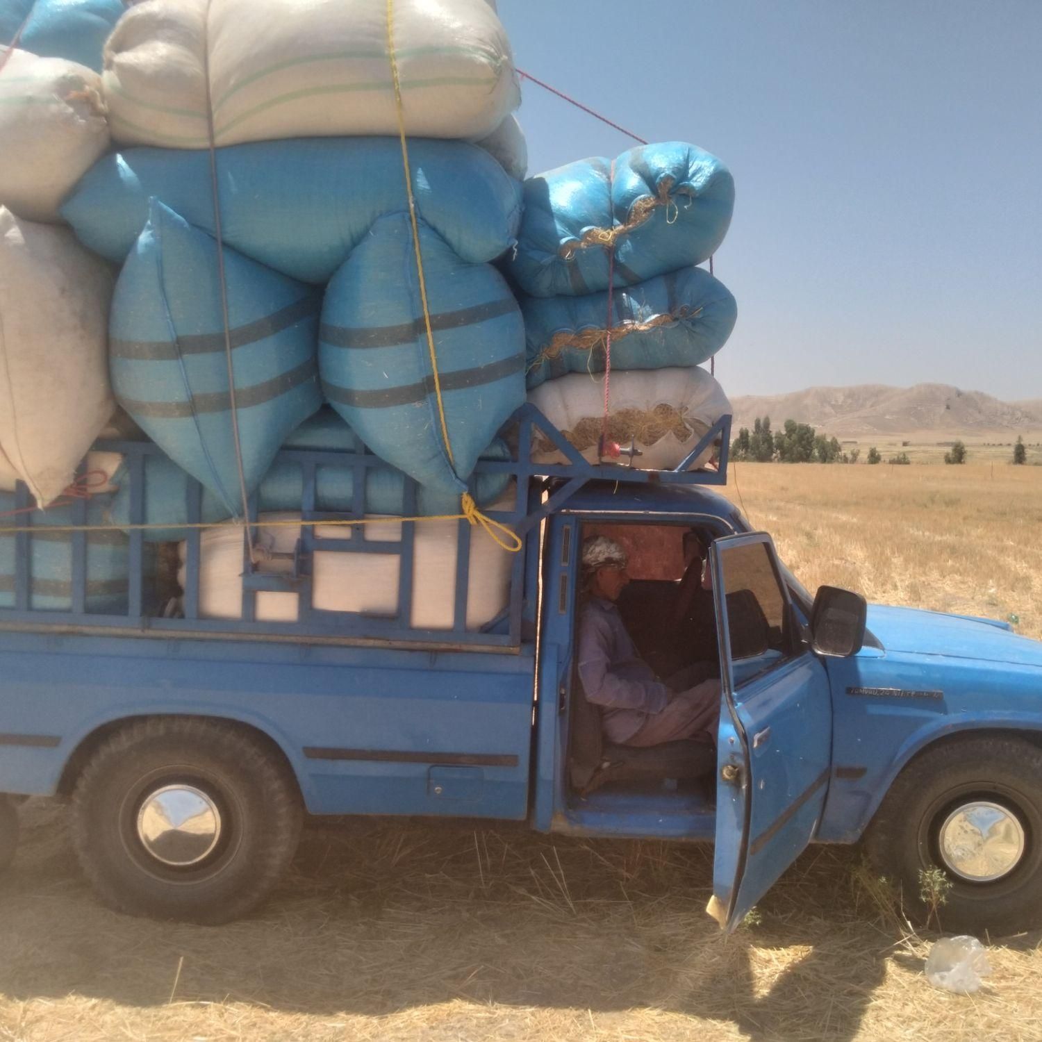 دامداران نگران نباشد من باشما هستم با بهترین کاه|خدمات باغبانی و درختکاری|دهدشت, |دیوار