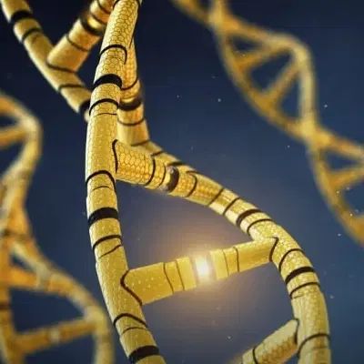راهنمایی|خدمات آموزشی|تبریز, |دیوار