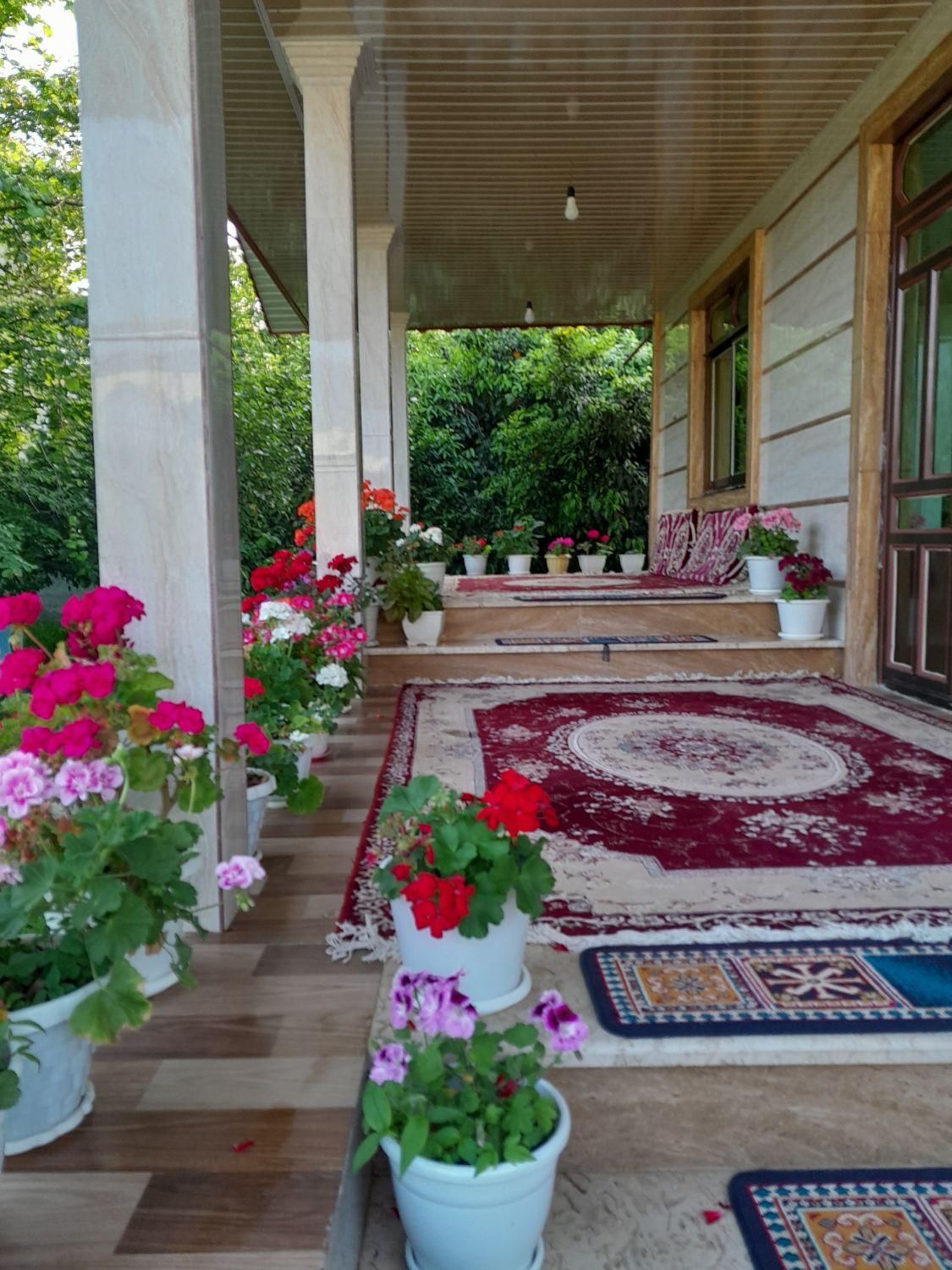 اجاره ویلا جنگلی چهار خوابه دربست|اجارهٔ کوتاه‌مدت ویلا و باغ|ماسال, |دیوار