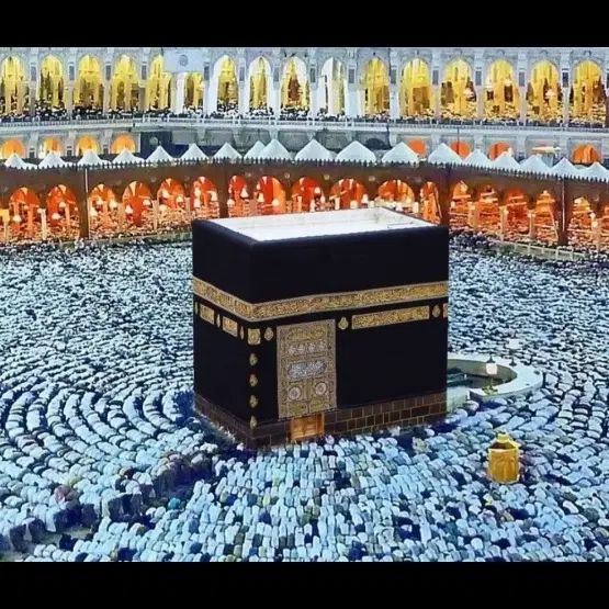 فیش حج عمره مفرده|تور و چارتر|تهران, نیروی هوایی (پیروزی)|دیوار