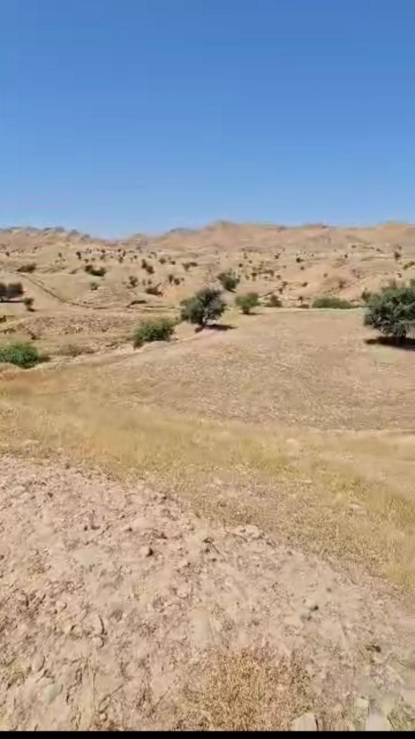زمین کشاوری مشاع سند تک برگ|فروش زمین و ملک کلنگی|مسجد سلیمان, |دیوار