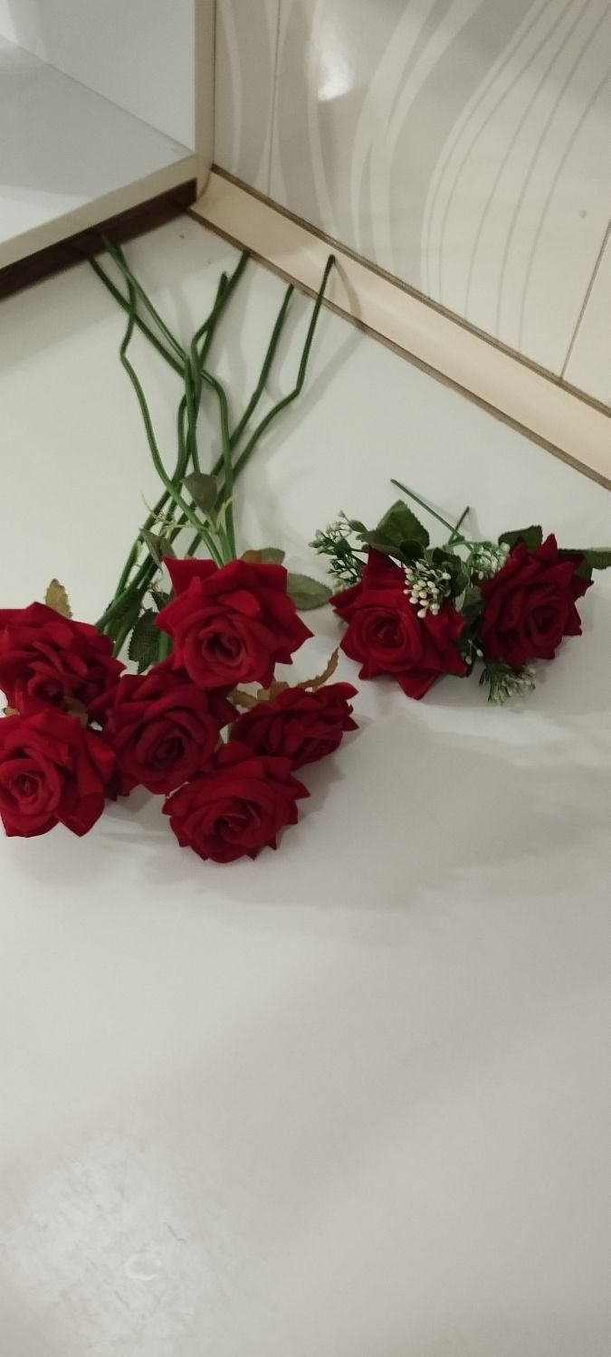 گولی رزی زرشکی مخمل|لباس|مهاباد (آذربایجان غربی), |دیوار