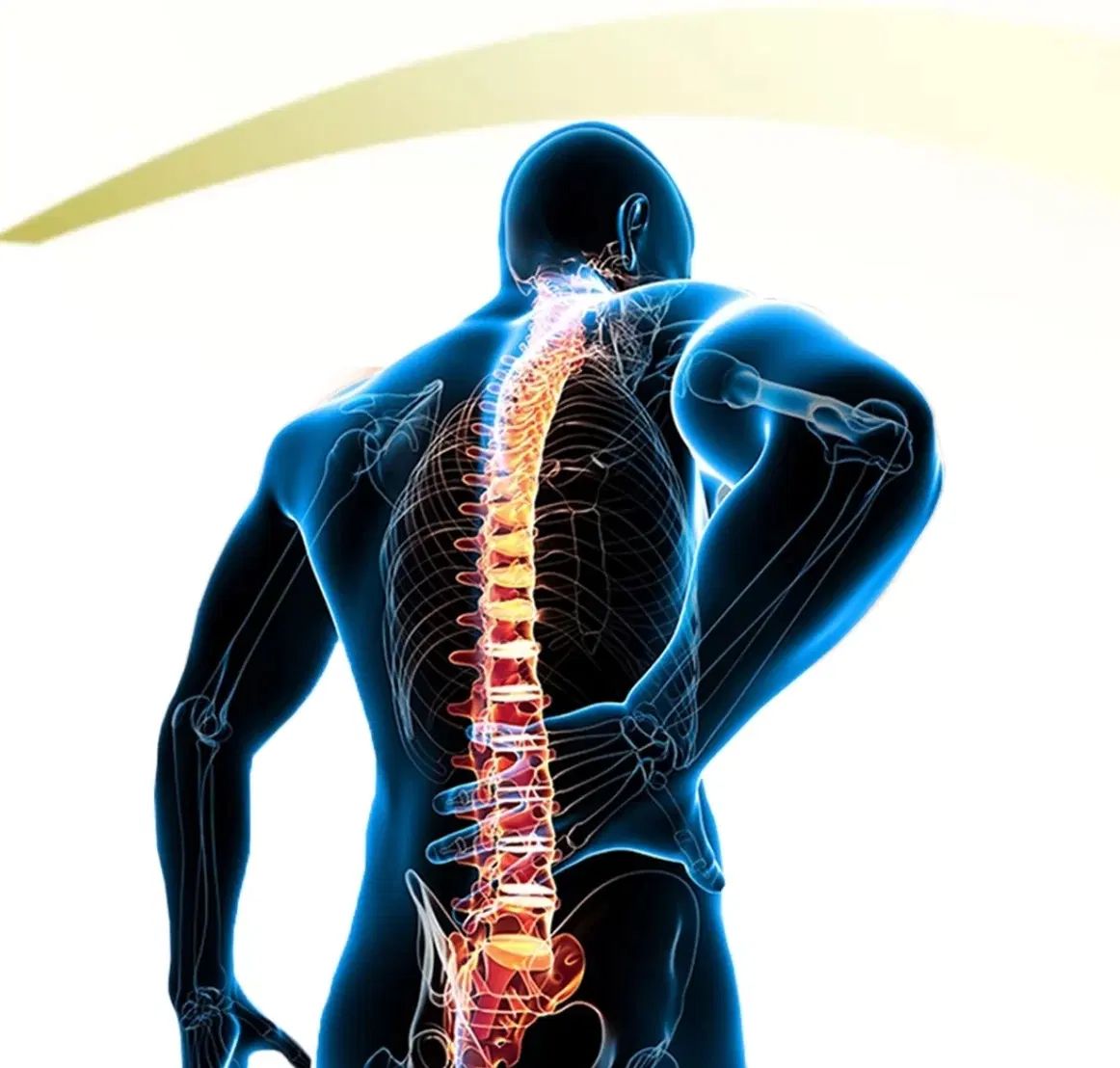 دعوت به همکاری ویژه از فیزیوتراپ های با مدرک دکتری|استخدام آموزشی|ساری, |دیوار