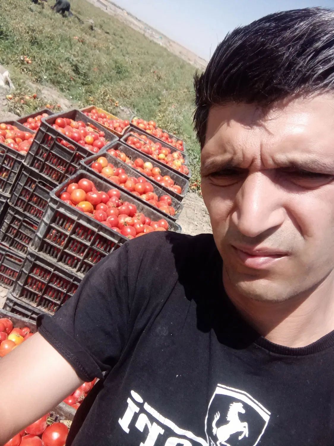 آبگیری گوجه لیمو انگور  و دستگاهای اصفهان|خوردنی و آشامیدنی|مشهد, توس (بلوار توس)|دیوار