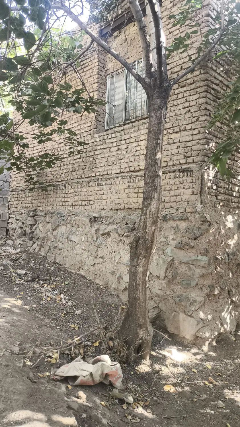 خانه ویلای قدیمی ساخت|فروش خانه و ویلا|کرج, کلاک بالا|دیوار