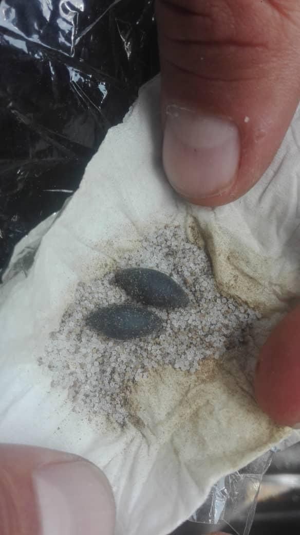 مهره قدیمی|جواهرات|خرمشهر, |دیوار