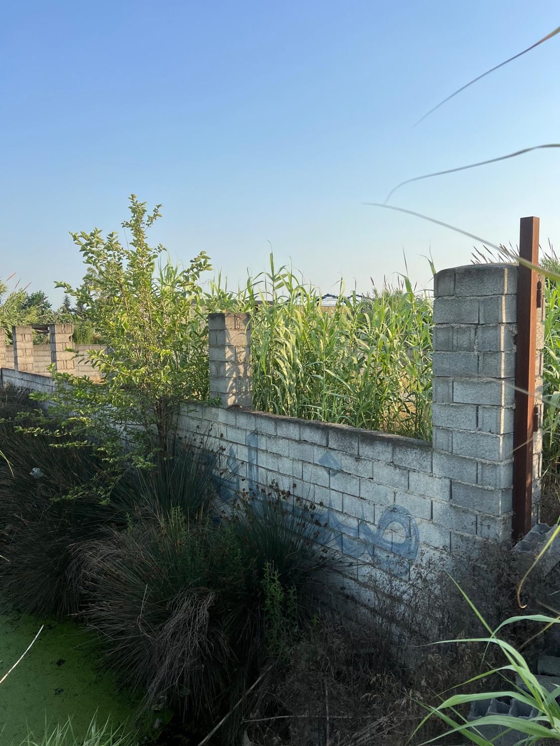 ۱۰۰۰ متر زمین تجاری با ۳۰ متر بر جاده اصلی|فروش دفتر صنعتی، کشاورزی، تجاری|کیاکلا, |دیوار