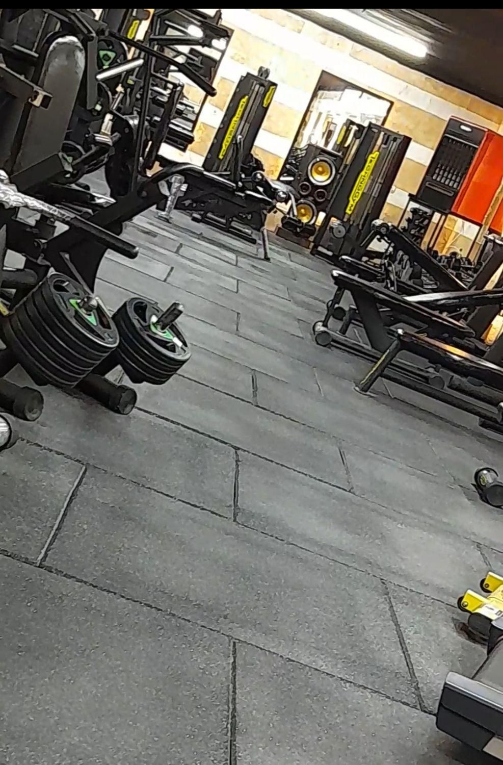 باشگاه گلد|خدمات آموزشی|قم, آزادگان|دیوار