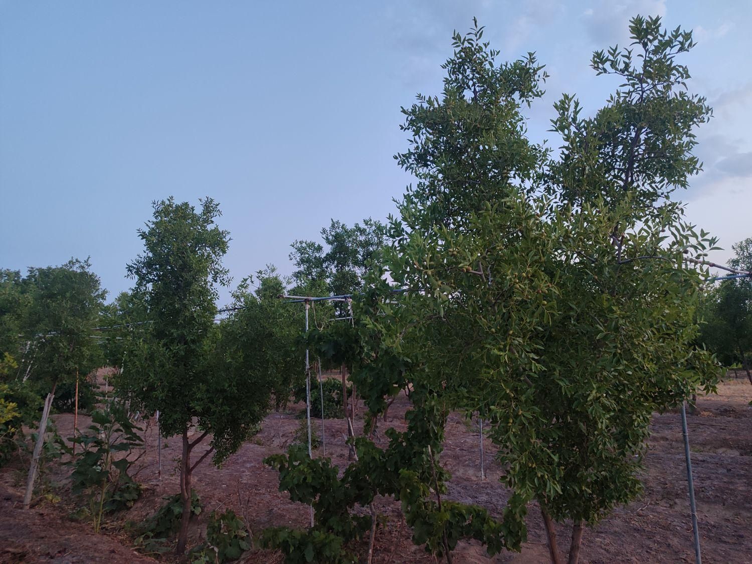 تصویر 4
