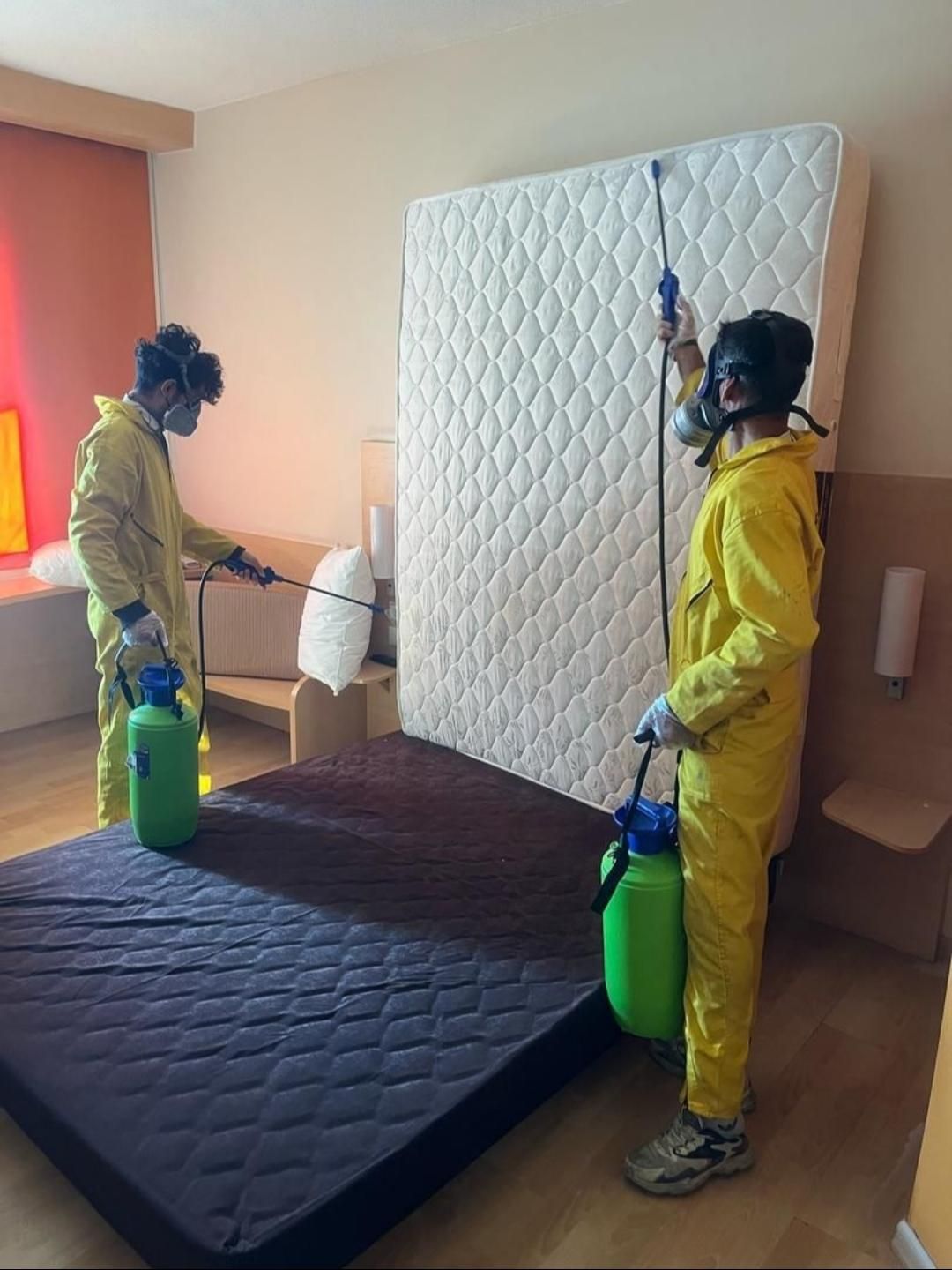 سمپاشی ساس سوسک موش موریانه کنه کک با ضمانت|خدمات نظافت|مشهد, امام رضا (ع)|دیوار