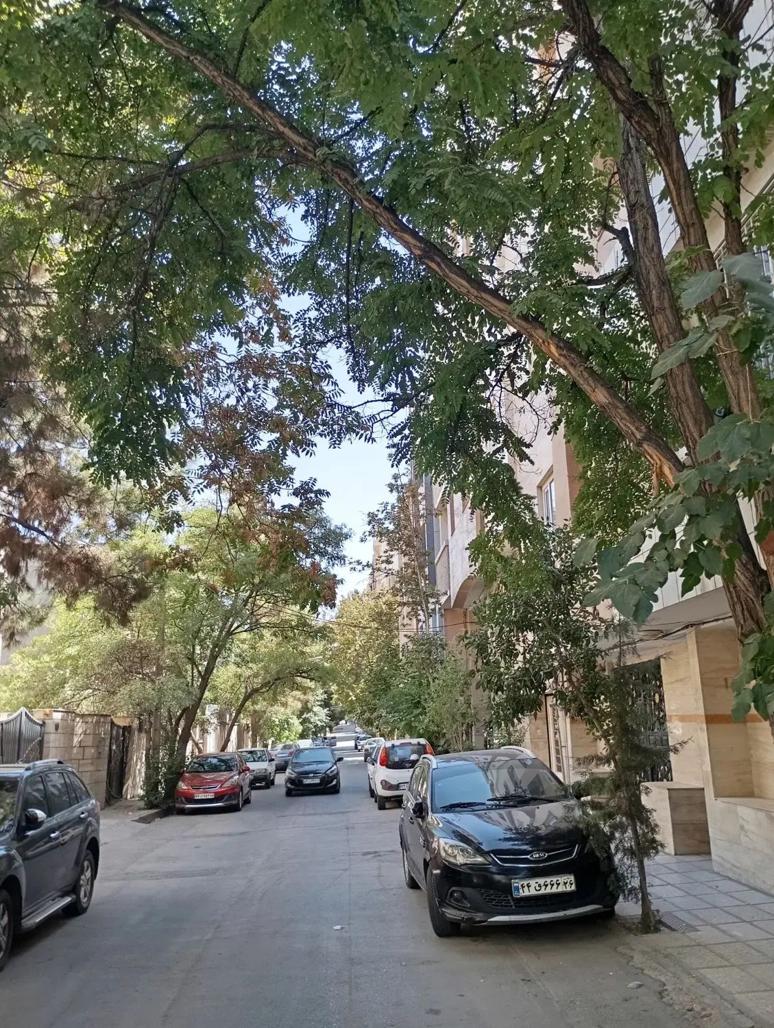 نوفل لوشاتو ویلایی ۲ طبقه ۳۰۰ متر شمالی|فروش زمین و ملک کلنگی|مشهد, نوفل لوشاتو|دیوار