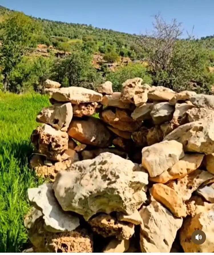 93 متر 2 خوابه فول امکانات|فروش آپارتمان|تهران, طرشت|دیوار