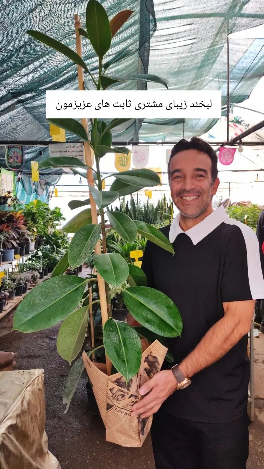 برای هدیه/گل وگیاهتونو گرون نخرید/ازما قیمت بگیرید|گل و گیاه طبیعی|اصفهان, ملک‌شهر|دیوار