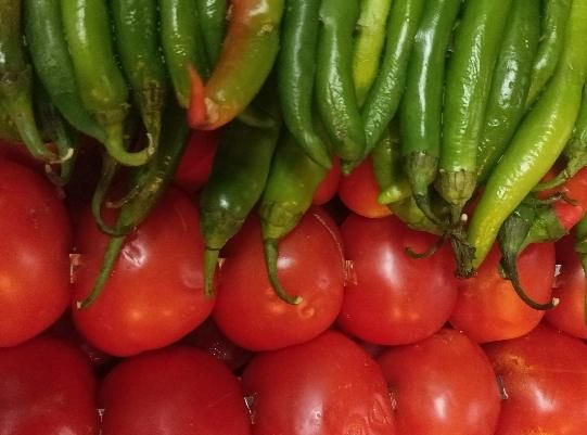 غذا پرسنلی شرکتی تهیه غذا مراسمات و پذیرایی|خدمات پذیرایی، مراسم|تهران, فردوسی|دیوار