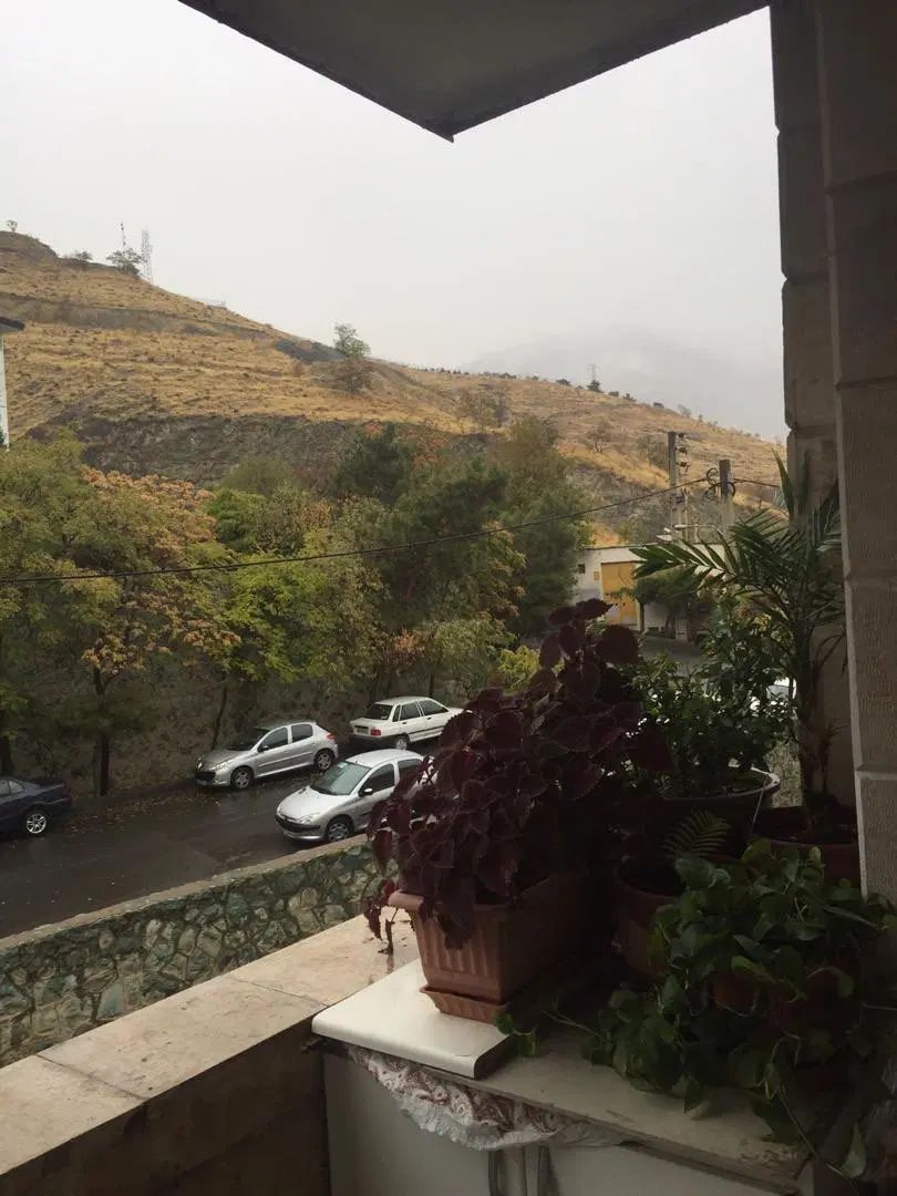 فروش فوری،سرمایه گذاری ، ۳ دانگ . ۵۰ متر قدرالسهم|فروش آپارتمان|تهران, زعفرانیه|دیوار