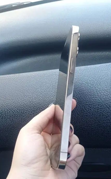 اپل iPhone 12 Pro Max با حافظهٔ ۲۵۶ گیگابایت|موبایل|رشت, گلزاران|دیوار