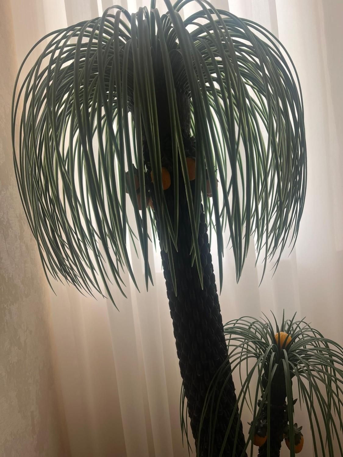 درختچه مصنوعی همراه با گلدان حصیری|گل مصنوعی|بندر انزلی, معلم|دیوار