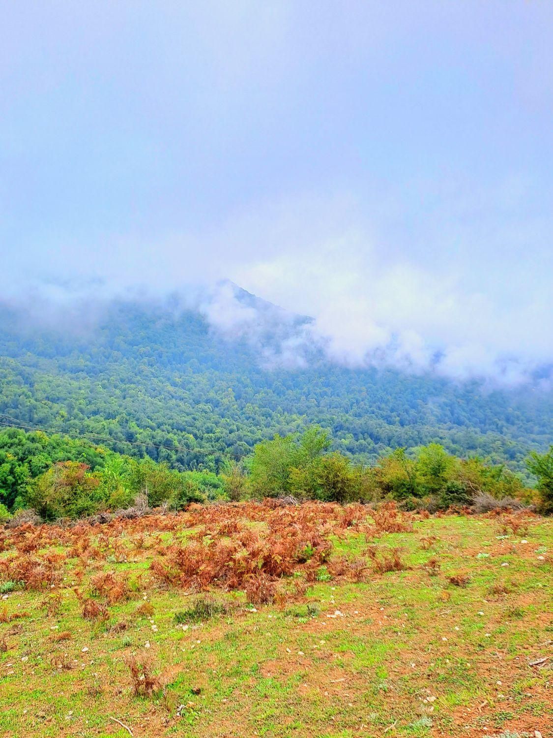 ۴۰۰ متر زمین، دهکده ی توریستی کُلیَک|فروش زمین و ملک کلنگی|کجور, |دیوار