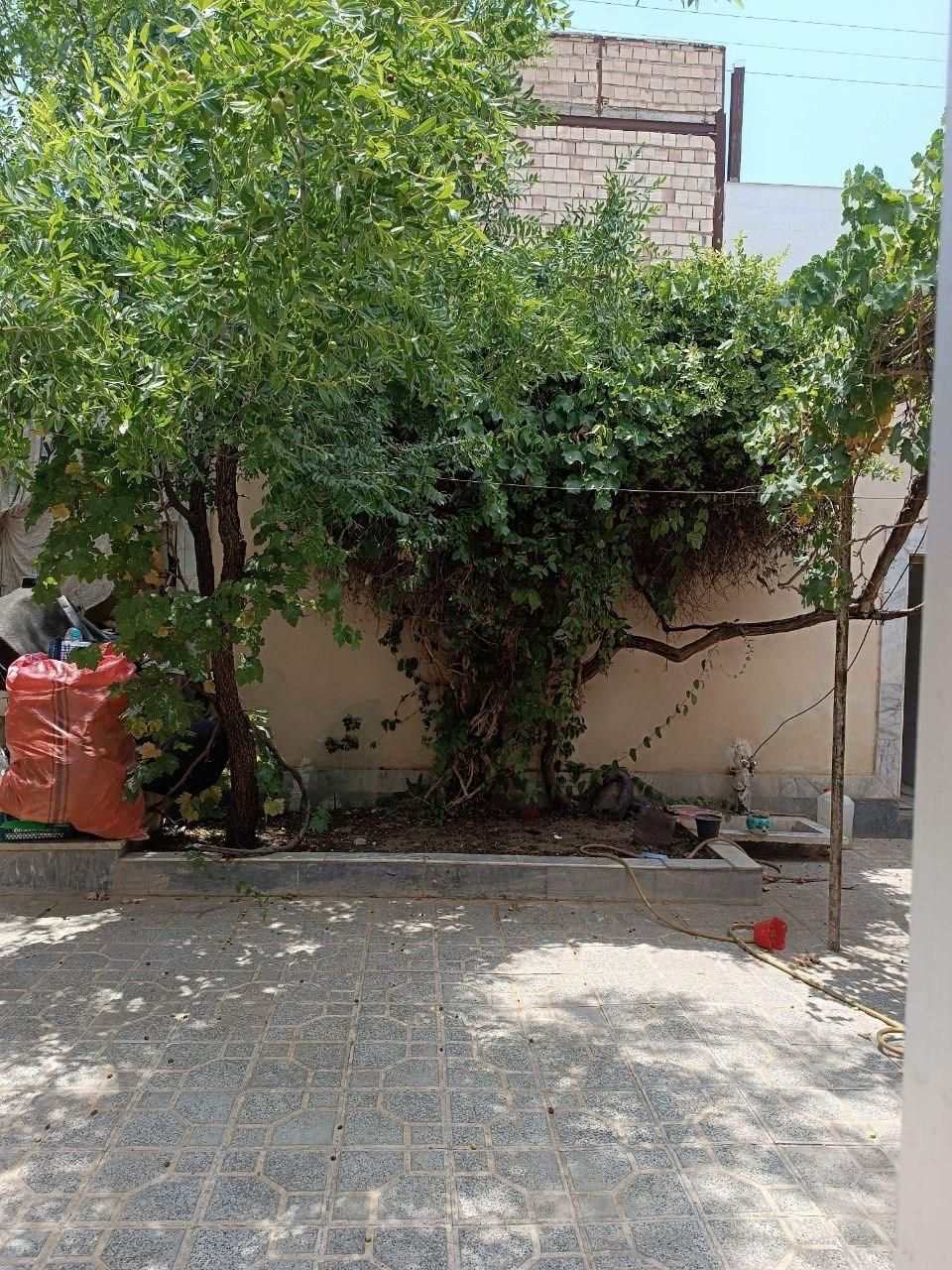 تصویر 3