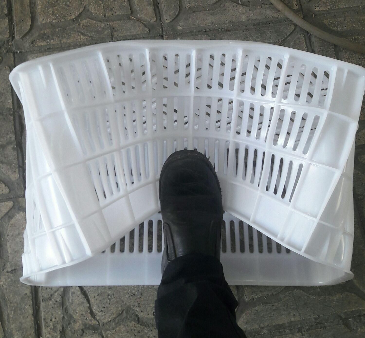 تولیدسبدخرماسبد میوه 20 و 25ک سبد میگوگلدان|عمدهفروشی|شیراز, وحدت|دیوار