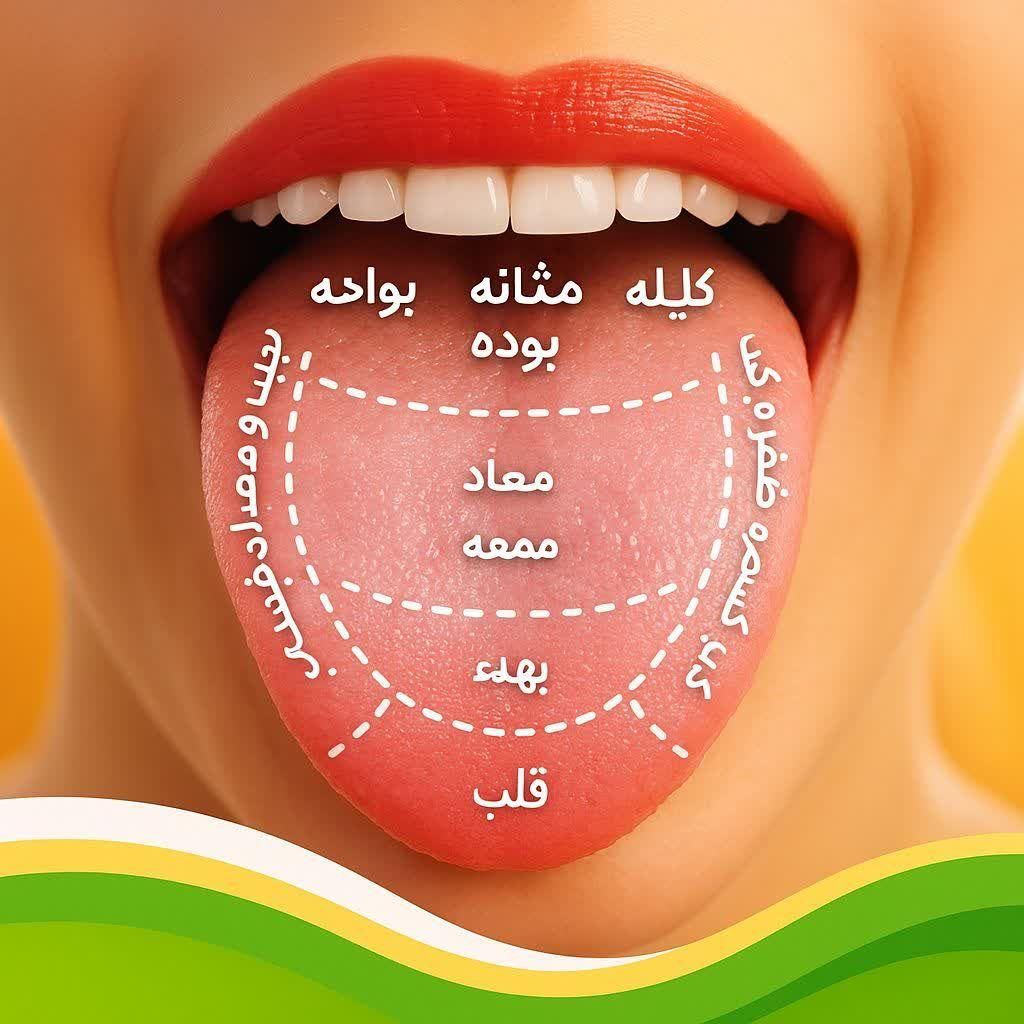 راهنمایی و مشاوره|فعالیت داوطلبانه تحقیقاتی|اصفهان, مهدیه|دیوار