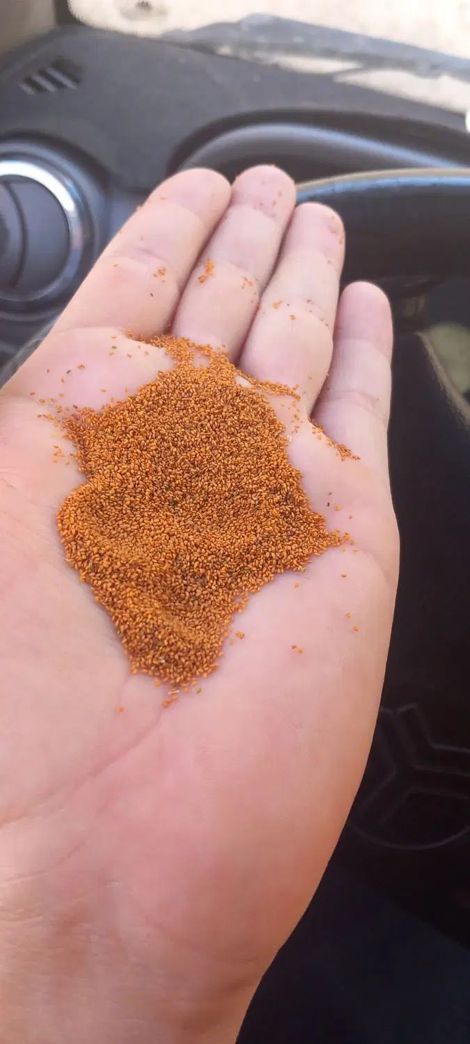 خاکشیراعلا|خوردنی و آشامیدنی|اصفهان, کارلادان|دیوار