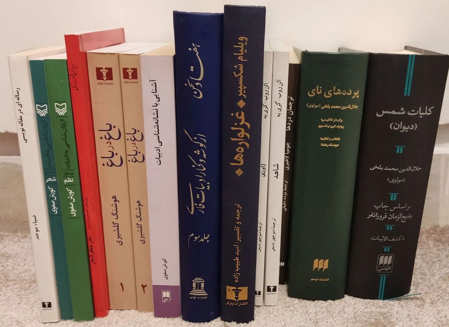 کتاب‌های کتاب‌خانه|کتاب و مجله ادبی|تهران, جیحون|دیوار