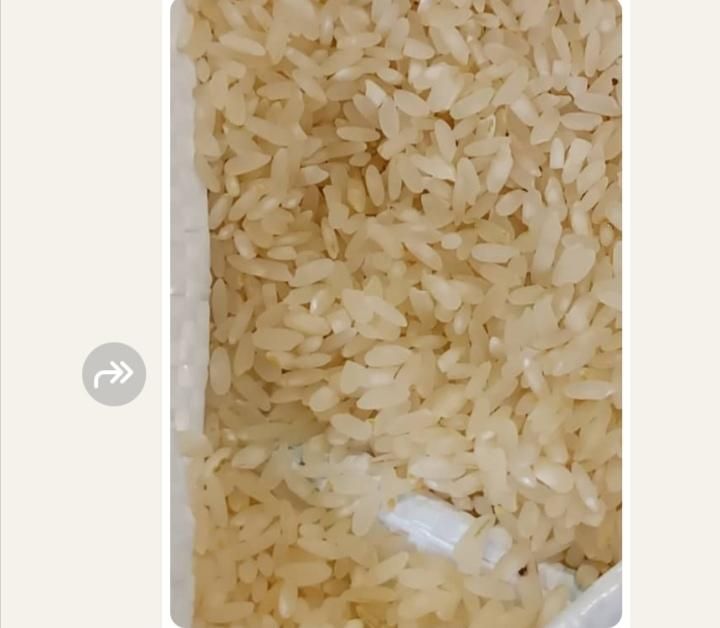 نیم دانه وخرده برنج کامفیروزتمیز شده مستقیم پخت|خوردنی و آشامیدنی|مرودشت, بیست متری بیمارستان|دیوار