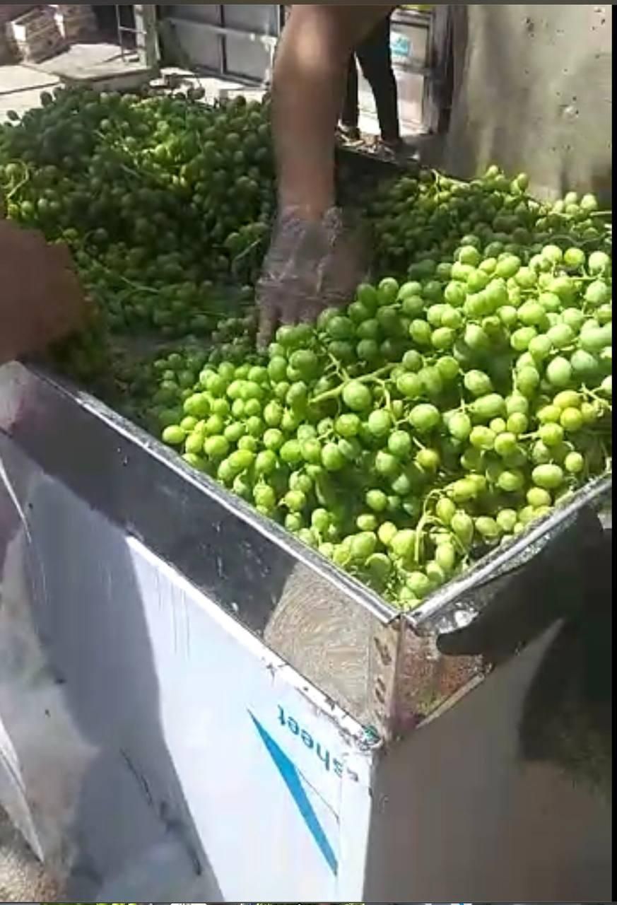 دستگاه آبغوره ساز دستگاه گوجه گیری آبلیمو آب غوره|کافی‌شاپ و رستوران|شیراز, قصرالدشت|دیوار