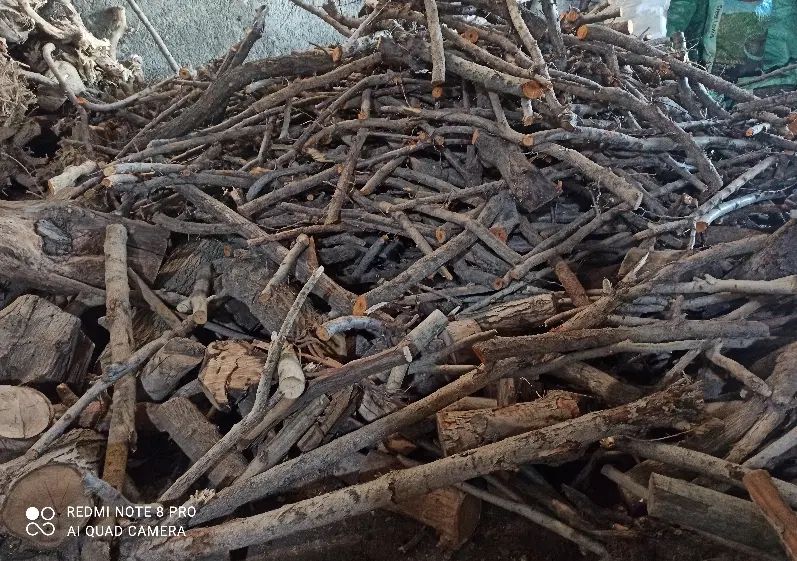 خریدار انواع چوب|خدمات باغبانی و درختکاری|کرج, حسین آباد (اکبر آباد)|دیوار