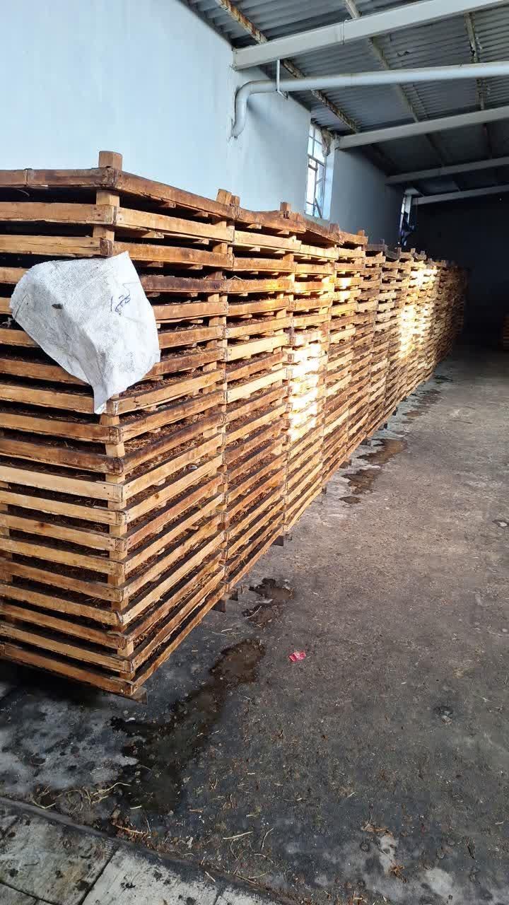 کشمش پلویی ملایر|عمدهفروشی|تهران, امیریه|دیوار