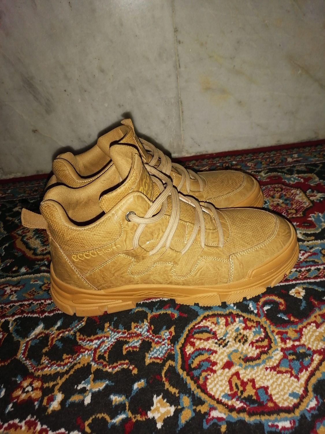 کفشeccoشماره41|کیف، کفش، کمربند|فسا, |دیوار