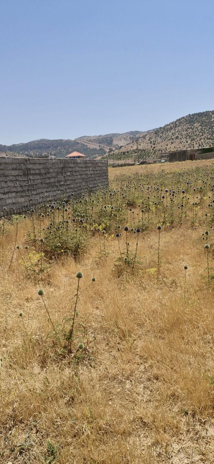 ۲۱۰مترزمین موردراز|فروش زمین و ملک کلنگی|یاسوج, |دیوار