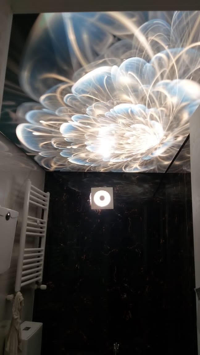 مجری انواع سقف های کشسان|خدمات پیشه و مهارت|رشت, حمیدیان|دیوار