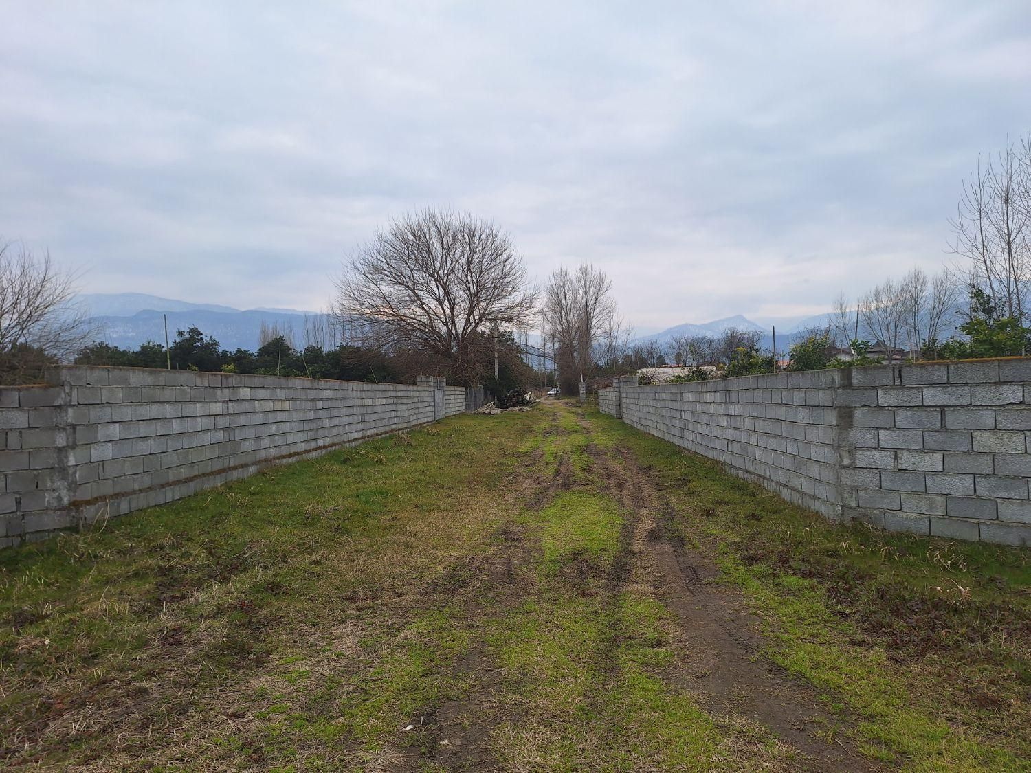 عباس اباد کورکلا کشاورز ۸۰۰ متر زمین|فروش زمین و ملک کلنگی|عباس‌آباد, |دیوار