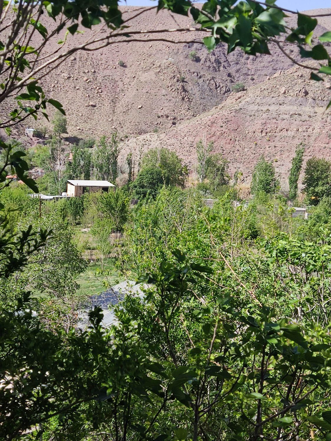 اجاره روزانه ویلا استخر دار در کوهپایه|اجارهٔ کوتاهمدت ویلا و باغ|کرمان, |دیوار