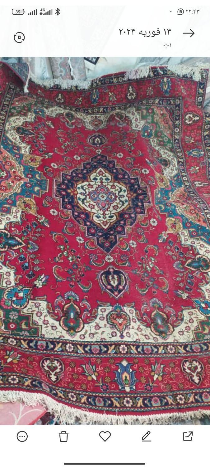 قالی دستباف|فرش|شیراز, دروازه اصفهان|دیوار