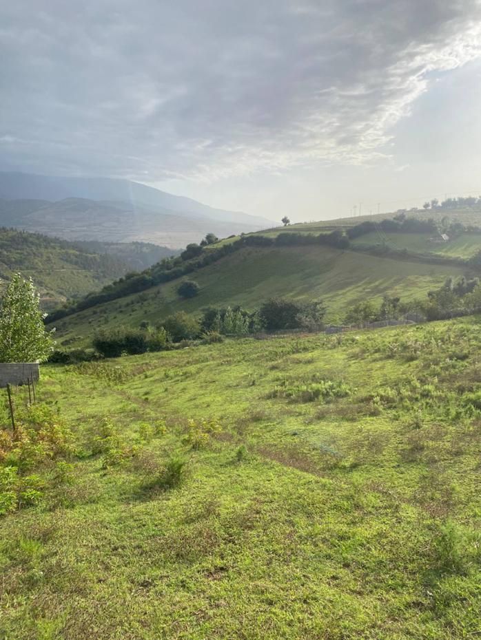 فروش زمین رودبار-رستم آباد-روستای شیرکوه|فروش زمین و ملک کلنگی|رودبار, |دیوار