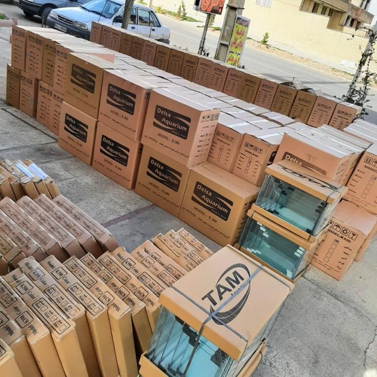 آکواریوم آبتین با ۲۵ سال سابقه در شهرک گلستان|ماهی|شیراز, شهرک گلستان|دیوار