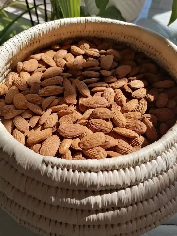 انواع خشکبار|خوردنی و آشامیدنی|تهران, سعادت‌آباد|دیوار