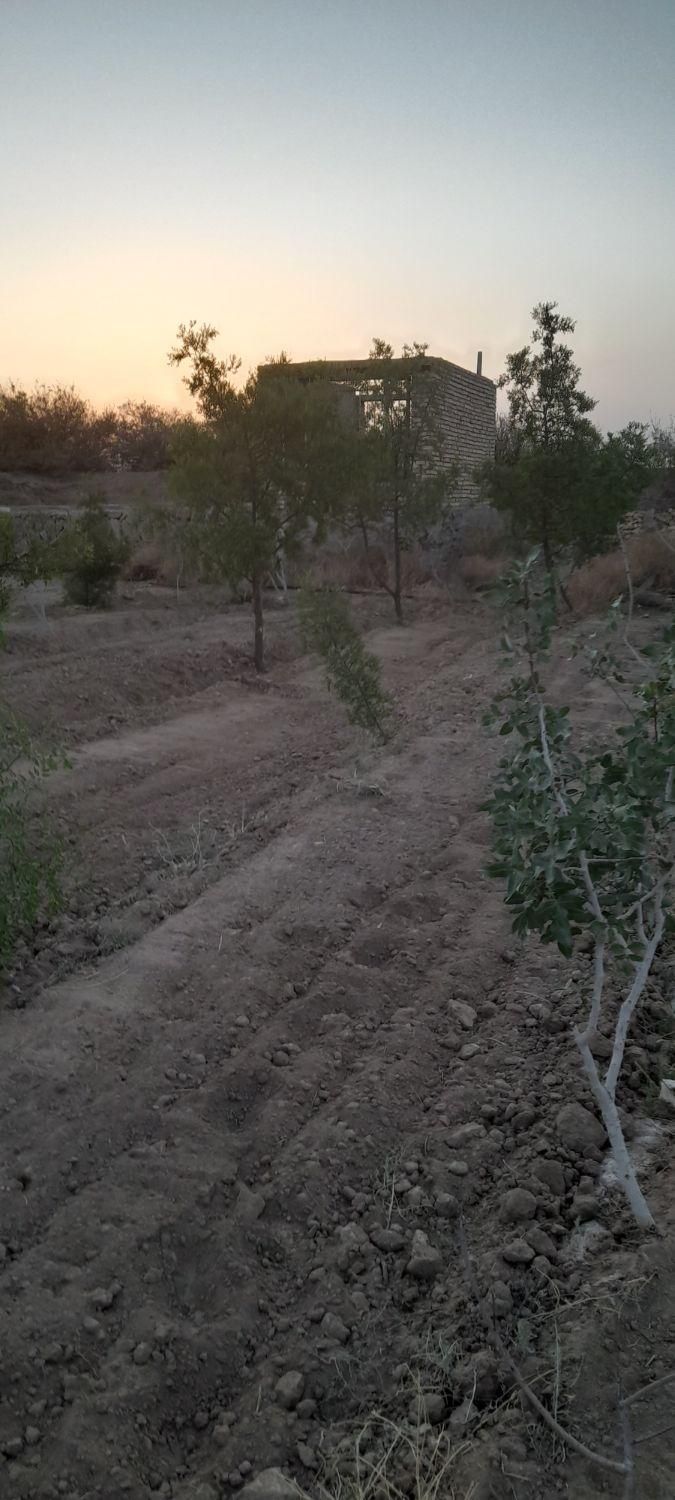 تصویر 2