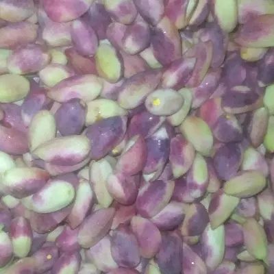 پسته تازه دامغان|حراج|تهران,  امام زاده قاسم (نیاوران)|دیوار