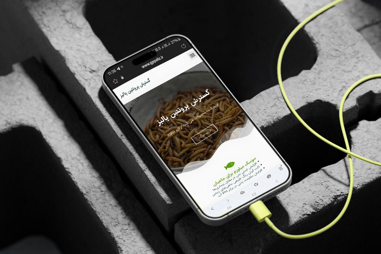 طراحی وب‌سایت‌ + پشتیبانی و سئو|خدمات رایانه‌ای و موبایل|نیشابور, ۲۲ بهمن|دیوار