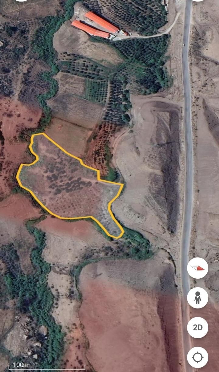 باغ زیتون ۱۱۵۱۰ متری سند تک برگ|فروش زمین و ملک کلنگی|لوشان, |دیوار