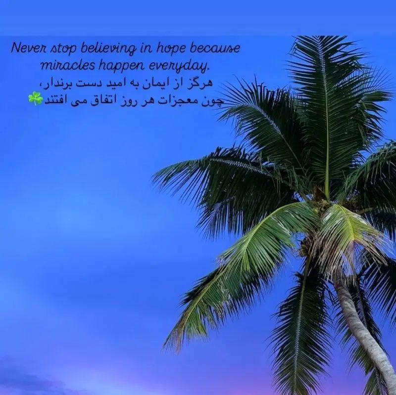 هم خونه میشم|اجارهٔ خانه و ویلا|مشهد, ادیب نیشابوری (شهرک غرب)|دیوار