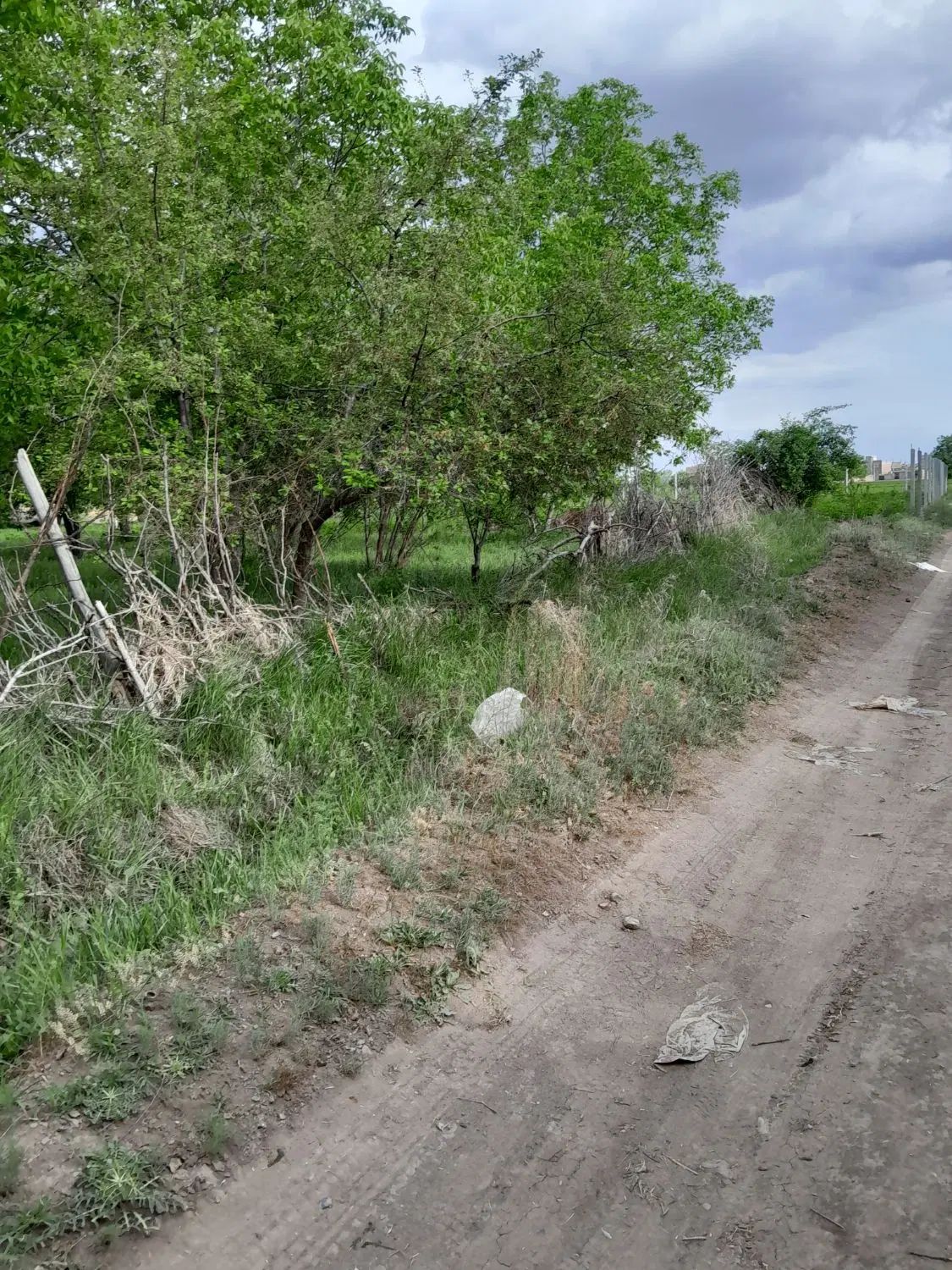 6 من محلی زمین کشاورزی واقع در روستای گوروان|فروش دفتر صنعتی، کشاورزی، تجاری|عجب شیر, |دیوار