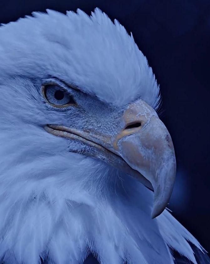 پارتنر جهت تقویت مکالمه زبان آلمانی . b1|فعالیت داوطلبانه تحقیقاتی|قم, پردیسان|دیوار